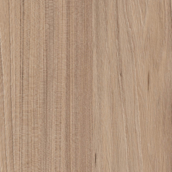 Falco Rauna szil világos 697 FS22 Forgácslap