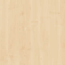 Falco Európai juhar 463 FS24 Forgácslap