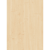 Falco Európai juhar 463 FS24 Forgácslap