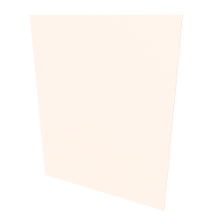 Back Board